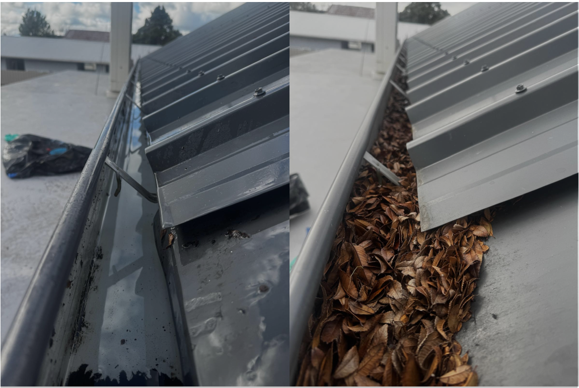 SE Before and After 1