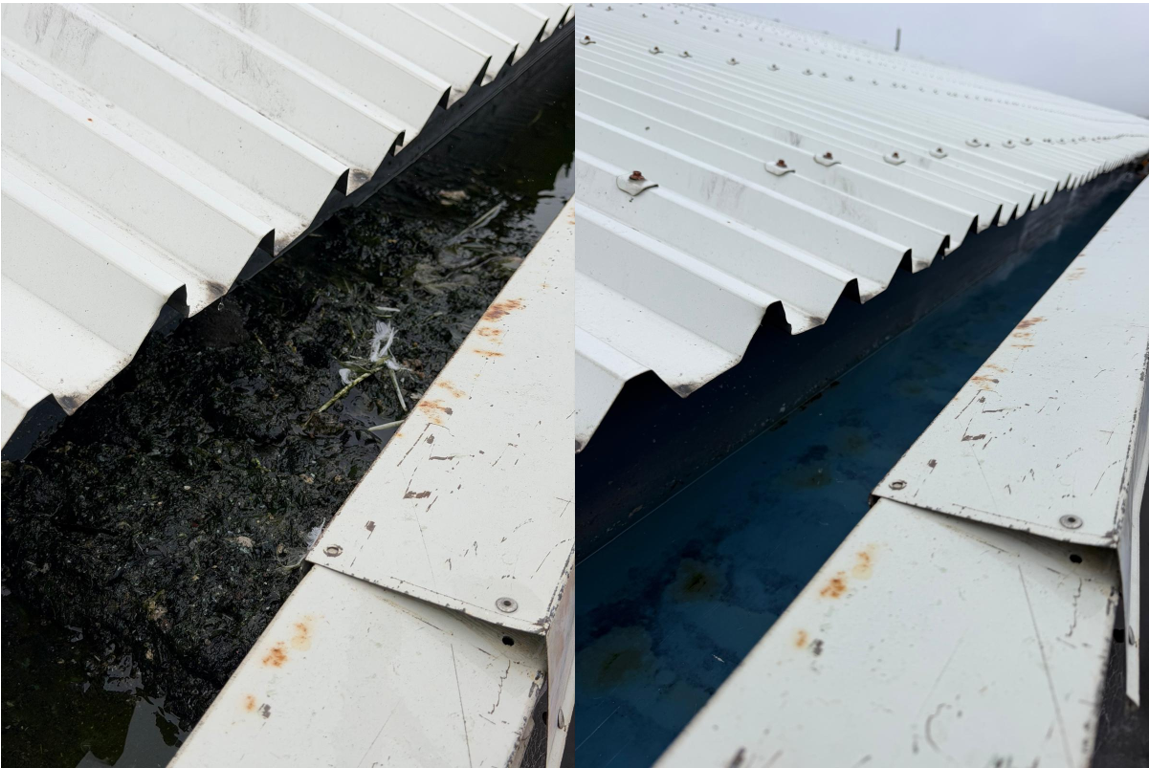 SE Before and After 2