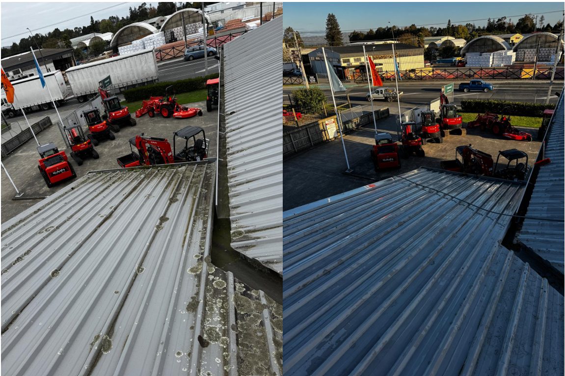 SE Before and After 3