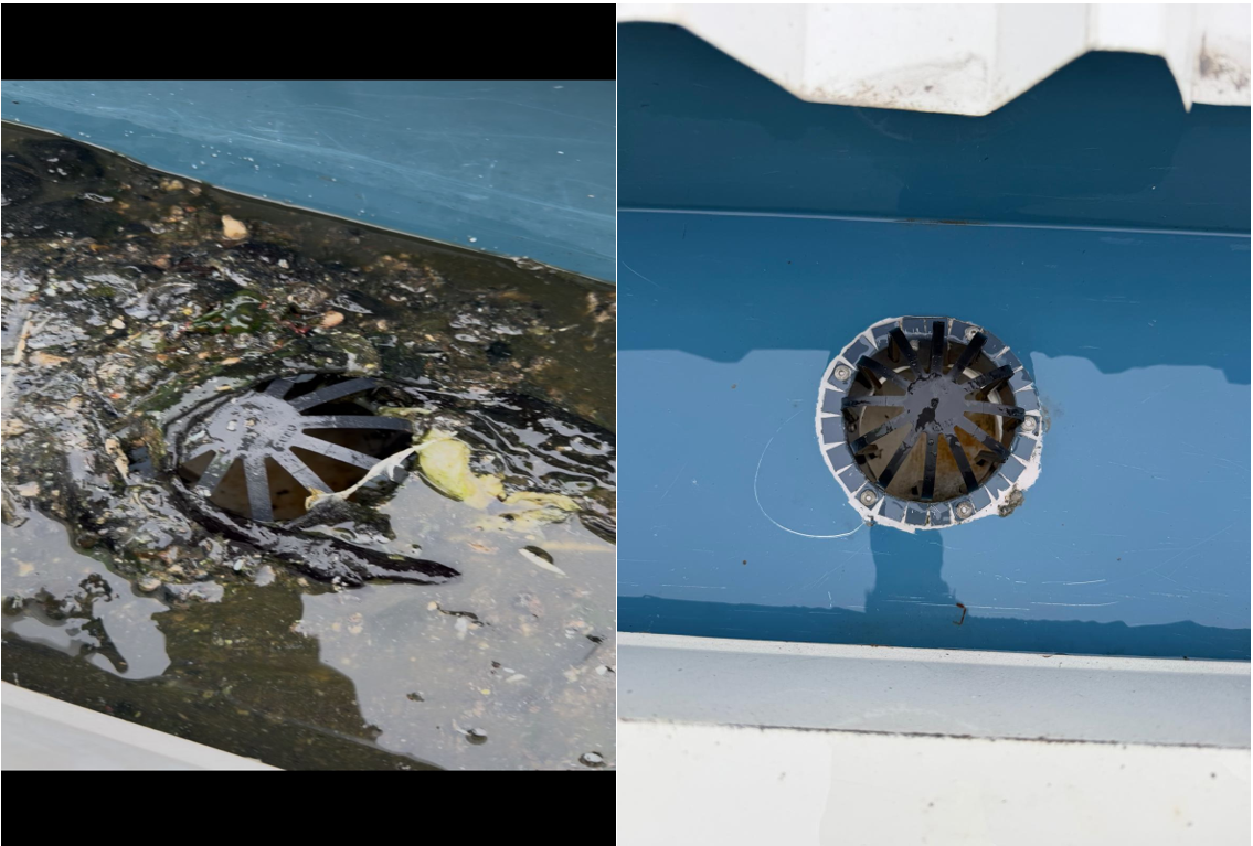 SE Before and After 6